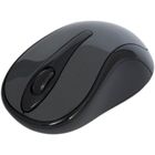 A4 Tech, mysz bezprzewodowa, glossy grey, G3-280N RF