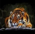 Adar, diamentowa mozaika, tygrys