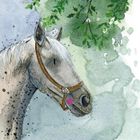 Alex Clark, karnet, koń pod drzewem