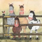 Alex Clark, karnet, konie i kuce