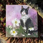 Alex Clark, karnet, kot i ciemierniki