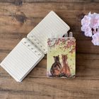 Alex Clark, kołonotes A7, Koty i kwiaty, 1 szt.