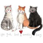 Alex Clark, magnes, 3 koty