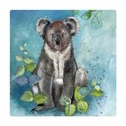 Alex Clark, magnes, Koala
