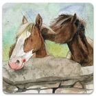 Alex Clark, magnes, Konie za murem