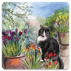 Alex Clark, magnes, Kot Roderick w ogrodzie