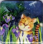 Alex Clark, magnes, Kot w nocy