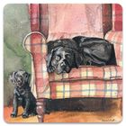 Alex Clark, magnes, Psy Sophie&Scarlett