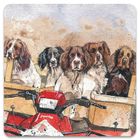 Alex Clark, magnes, Psy Spaniele