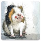 Alex Clark, magnes, Świnka morska