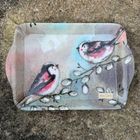 Alex Clark, taca, mała, ptaszki z długim ogonem