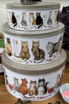 Alex Clark, zestaw 3 puszek, 4 koty