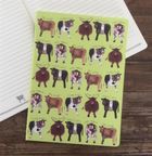 Alex Clark, zeszyt B5, 40 kartek, linia, Krowy, 1 szt.