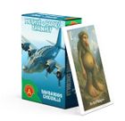 Alexander, Piotruś + Pamięć, Brainrot, Bombardiro Crocodillo, gra karciana