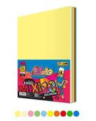 Alfa Pastello, papier ksero A4, 80g, 10 kolorów, 250 arkuszy