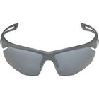 Alpina, Nylos Hr, okulary, szary mat