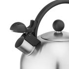 Altom Design, Daily Satin, czajnik nierdzewny, 2,5l