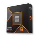 AMD, procesor Ryzen 9 9900X Box