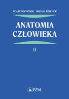 Anatomia człowieka. Tom 2