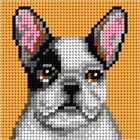 Anex-bis, Moje pierwsze wyszywanie, zestaw do haftu, Buldog