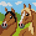 Anex-bis, Moje pierwsze wyszywanie, zestaw do haftu, Konie