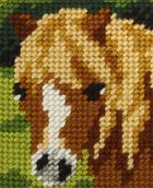 Anex-bis, Moje pierwsze wyszywanie, zestaw do haftu, Konik