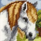 Anex-bis, Moje pierwsze wyszywanie, zestaw do haftu, Konik