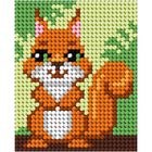 Anex-bis, Moje pierwsze wyszywanie, zestaw do haftu, Wiewiórka