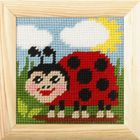 Anex-bis, Moje pierwsze wyszywanie, zestaw do haftu z ramką, Biedronka