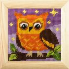 Anex-bis, Moje pierwsze wyszywanie, zestaw do haftu z ramką, Sówka