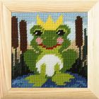 Anex-bis, Moje pierwsze wyszywanie, zestaw do haftu z ramką, Żabka