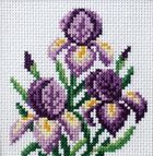 Anex-bis, zestaw do haftu krzyżykowego, Irysy