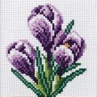 Anex-bis, zestaw do haftu krzyżykowego, Krokusy