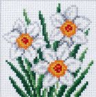 Anex-bis, zestaw do haftu krzyżykowego, Narcyze