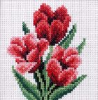 Anex-bis, zestaw do haftu krzyżykowego, Tulipany w konewce