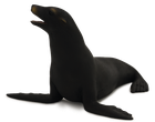 Animal Planet, Uchatka kalifornijska, figurka