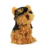 Anna Club Plush, piesek York, maskotka