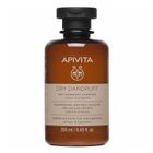 Apivita, Dry Dandruff Shampoo, szampon przeciwłupieżowy z selerem i propolisem, 250 ml