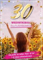 Armin Style, karnet, Urodziny 30