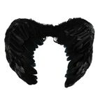 Arpex, skrzydła, czarne