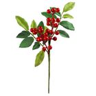 Arpex, zimowa gałązka z jagodami