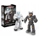 Artyk, Funny Toys for Boys, Chodzący robot, zabawka interaktywna