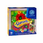 Astra, Sensorio Art, masa plastyczna, maki z ramką, 30 kolorów