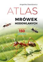Atlas mrówek hodowlanych. 150 gatunków