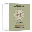 Attitude, pochłaniacz zapachów, 227g