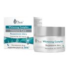 Ava Laboratorium, Whitening Complex Intensive Care, rozjaśniający koncentrat do twarzy na noc, 50 ml