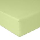 BabyMatex, prześcieradło z gumką, bawełniane, seledynowe, 70-140 cm