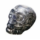 Bard Crystal, Czaszka, puzzle 3D, 49 elementy