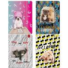 Bee-bee, teczka, A4, z gumką, zwierzaki, 1 szt.