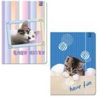 Bee-bee, teczka z gumką A4, Best Friend Koty